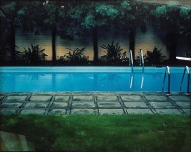 "David Hockney Painted This" by Bill Owens